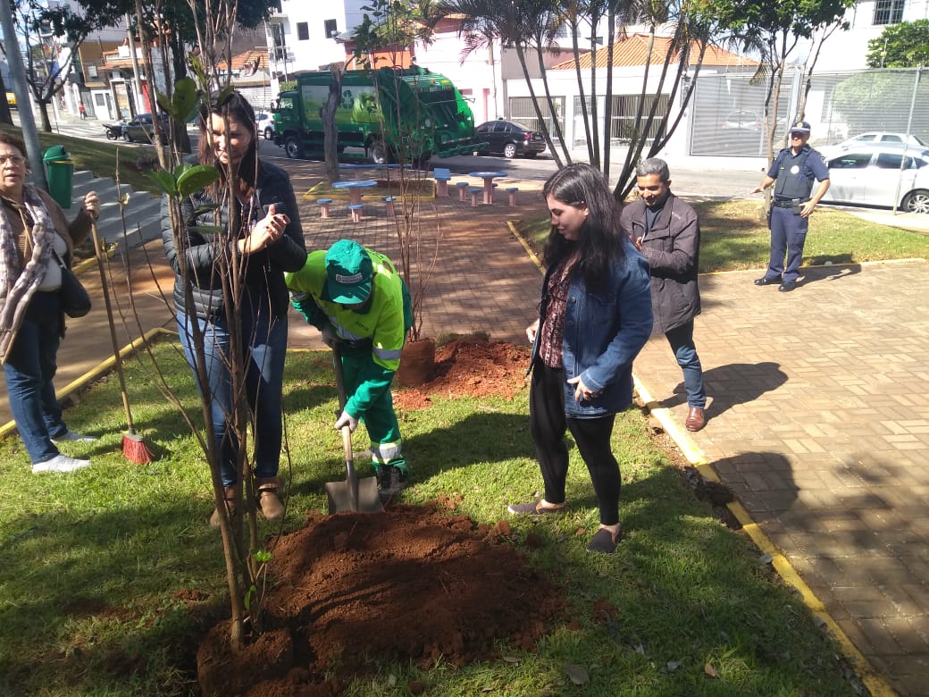 pessoas plantando arvore